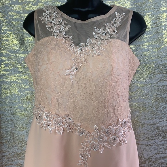Hanieh Light Pink Evening Lace And Embroidered Midi Dress Size 3 - Picture 4 of 12
